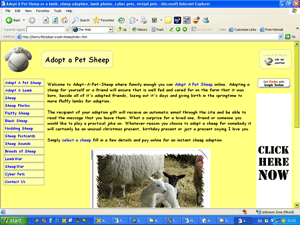 adopt a pet sheep